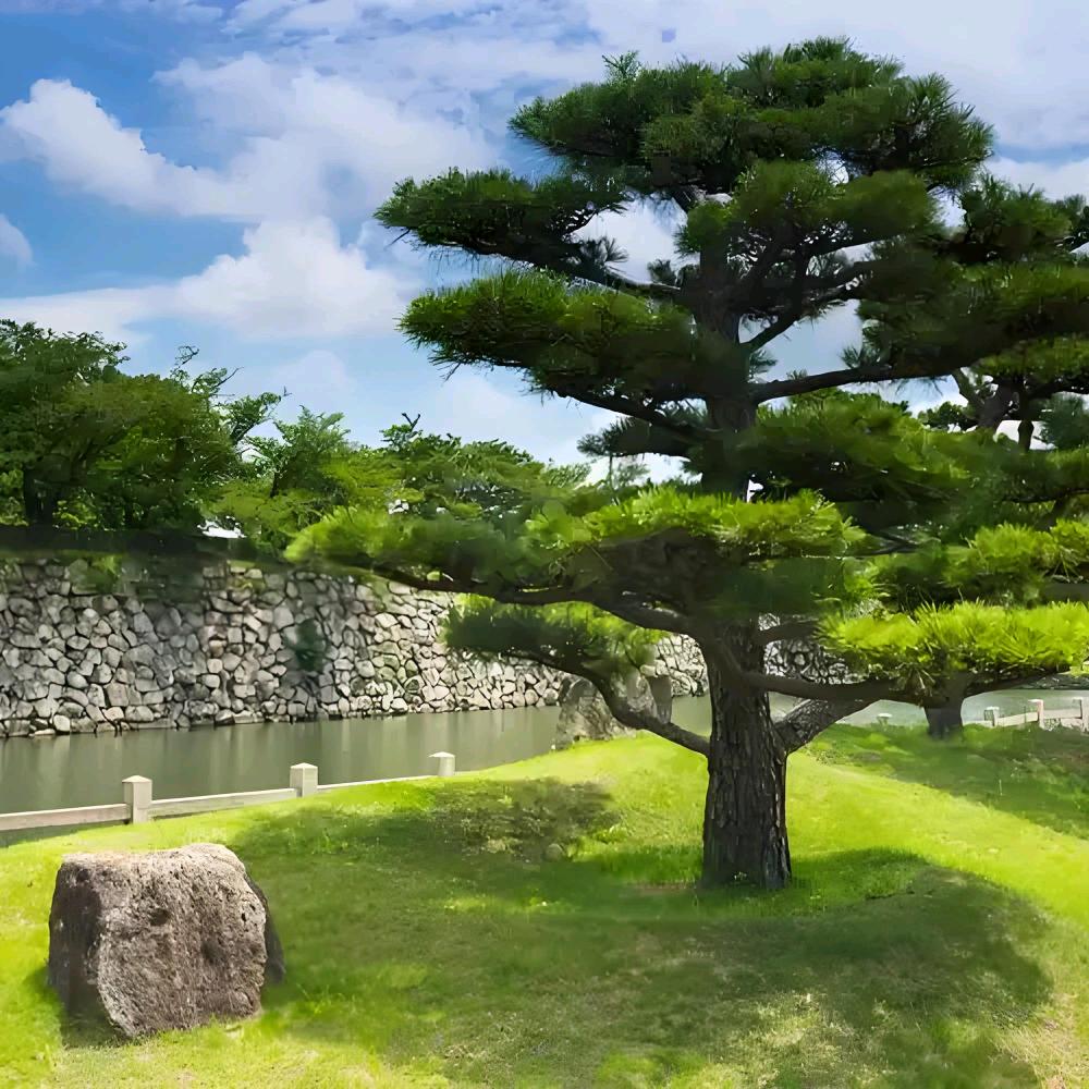 金山木业
