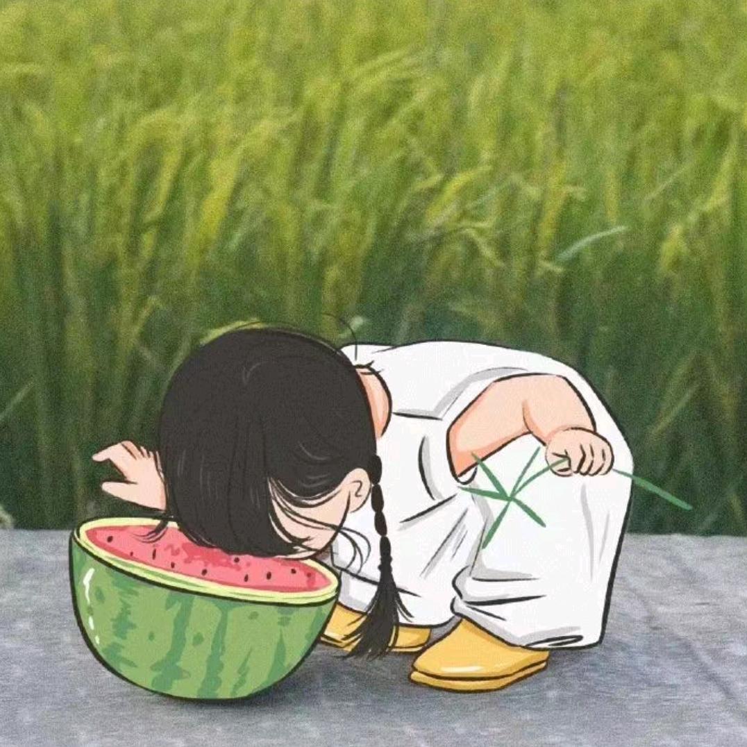 置物架推荐