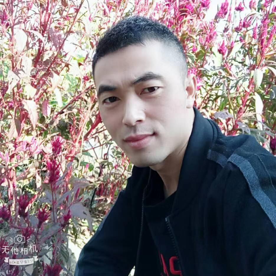 小杨（幕后）
