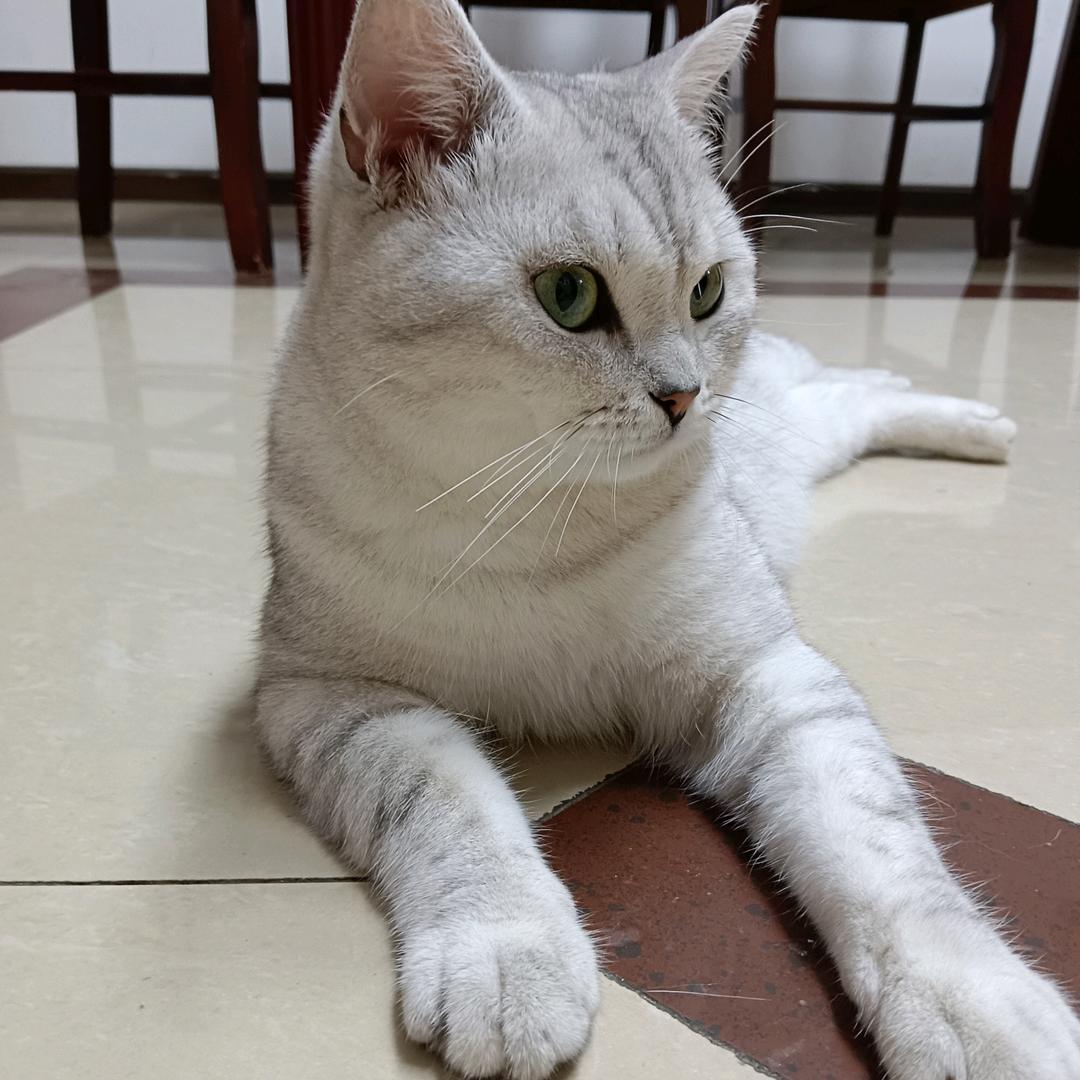 小财迷