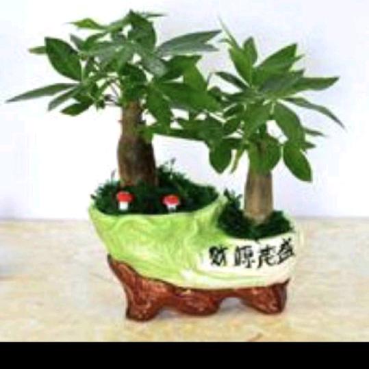 奋斗，