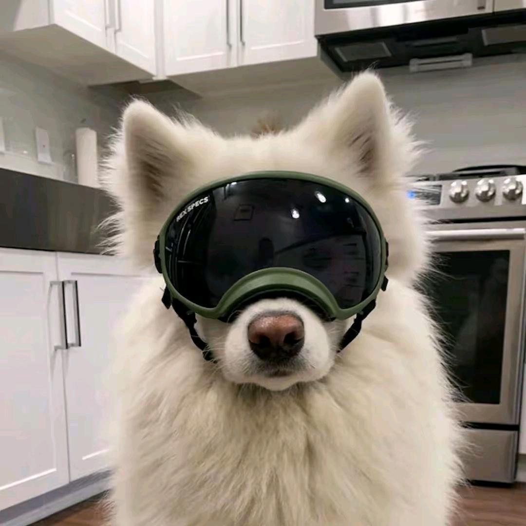 ff
