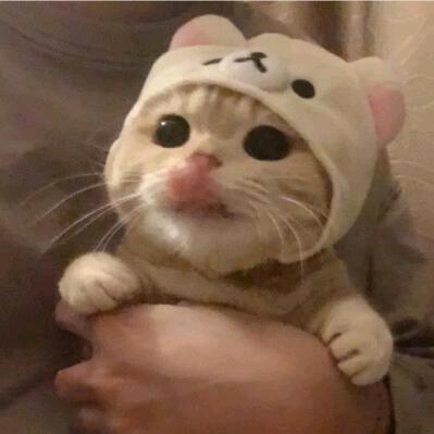 蓝蝶