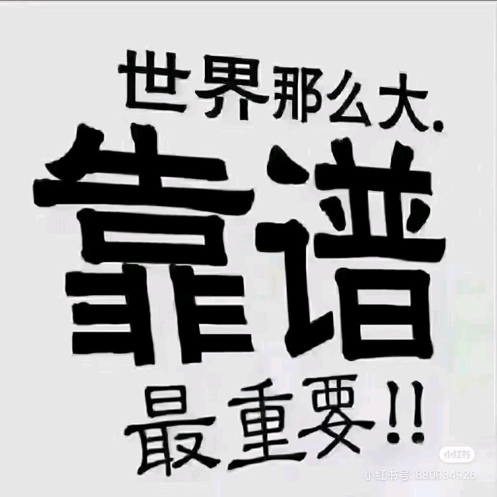 驾照引路人