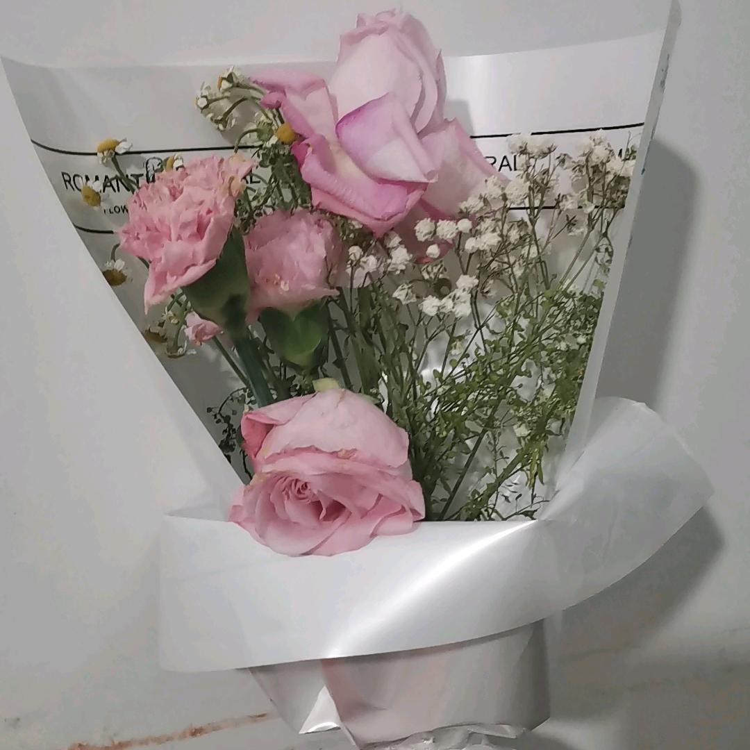 🐷①小虎队
