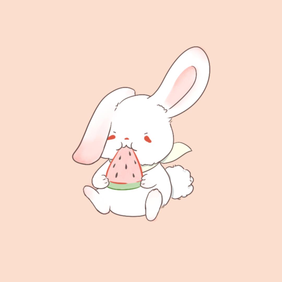文娱瓜小兔