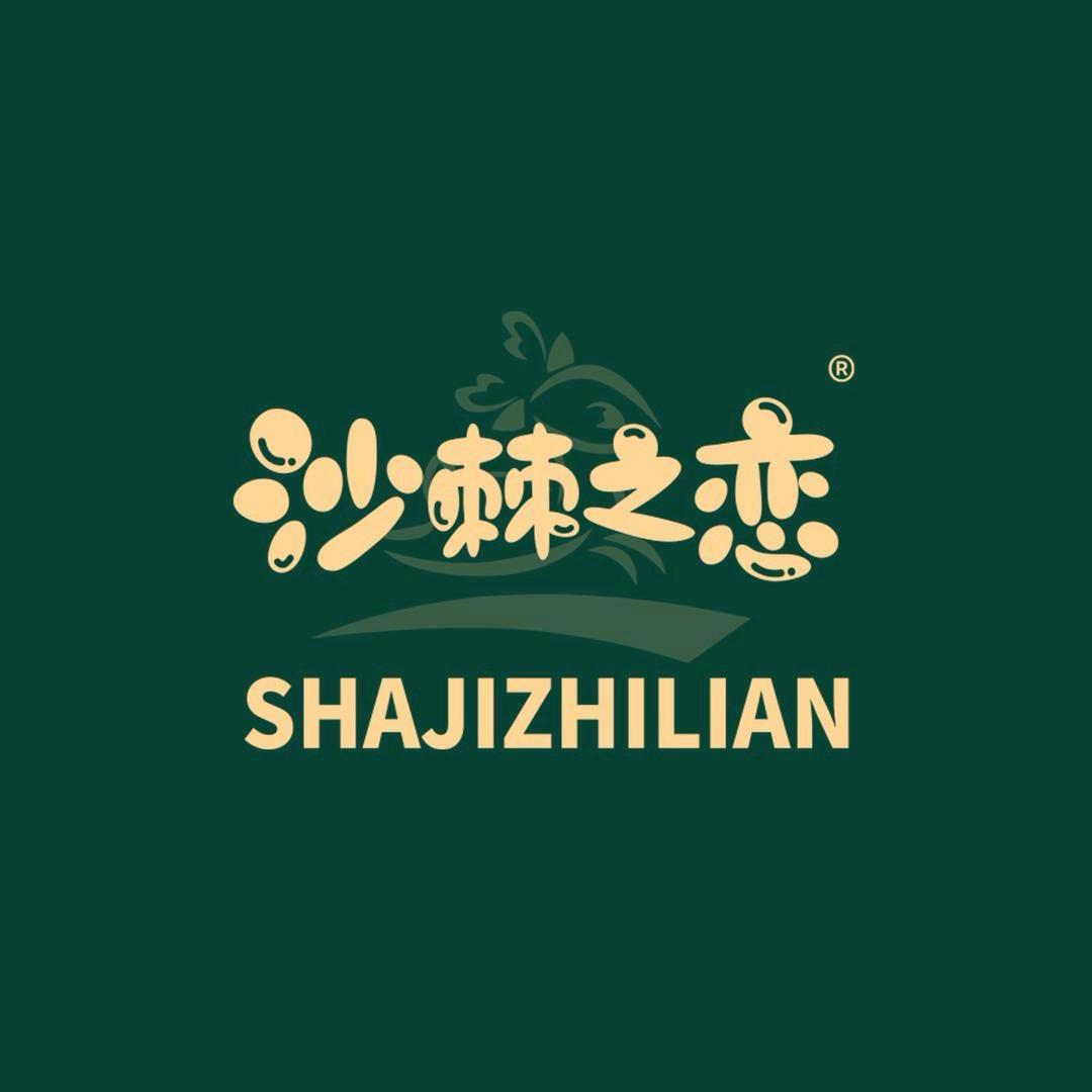 沙棘之恋