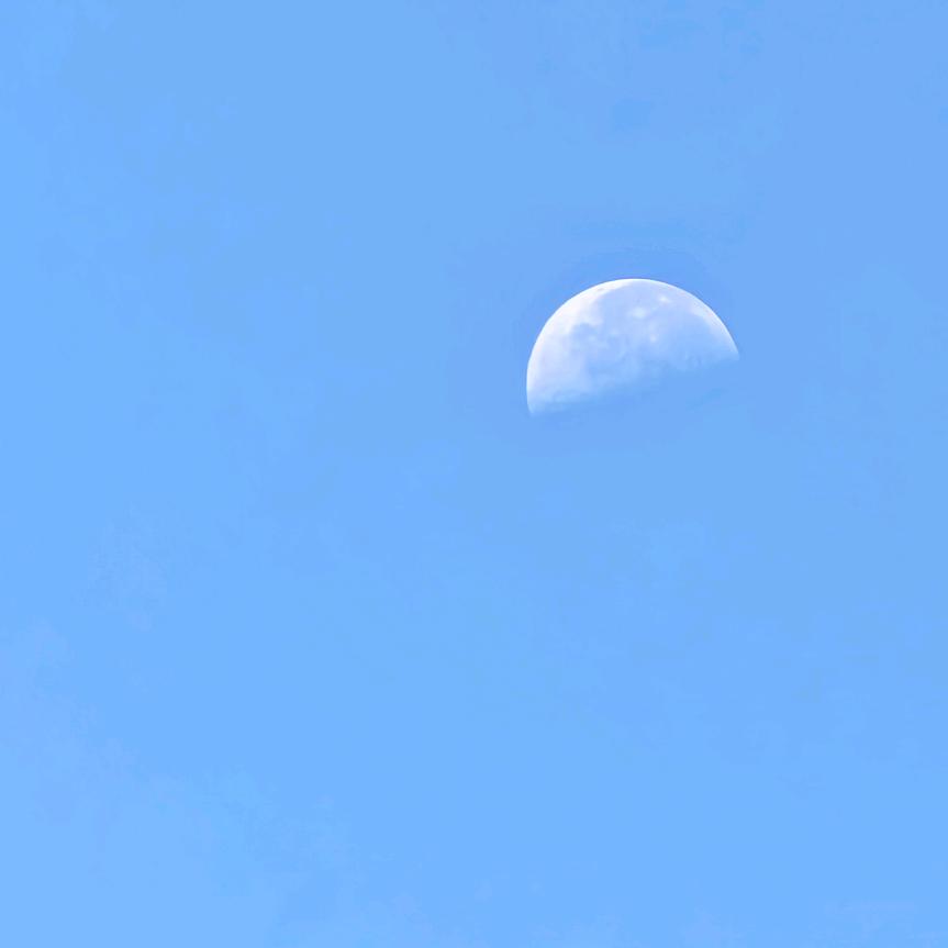 王朋