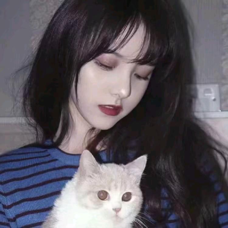 睡不饱的兮兮