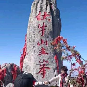 蛋鸡养殖
