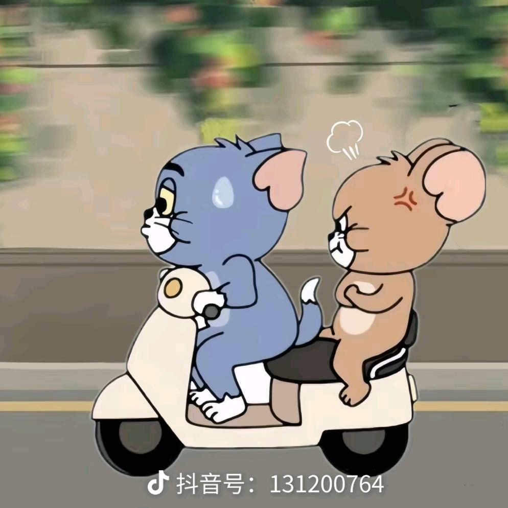 。。。小马