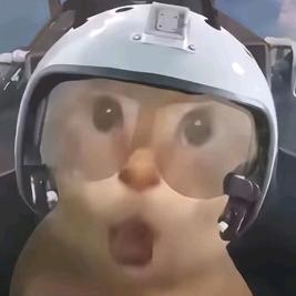 拾叁