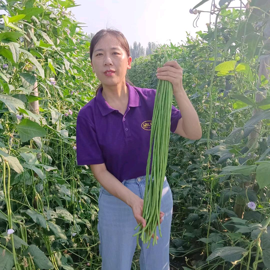 血玲珑~张慧聊农业