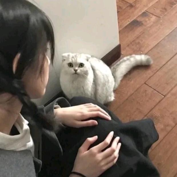 黎漫漫.