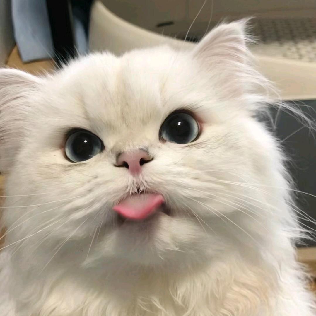 纹绣舒缓