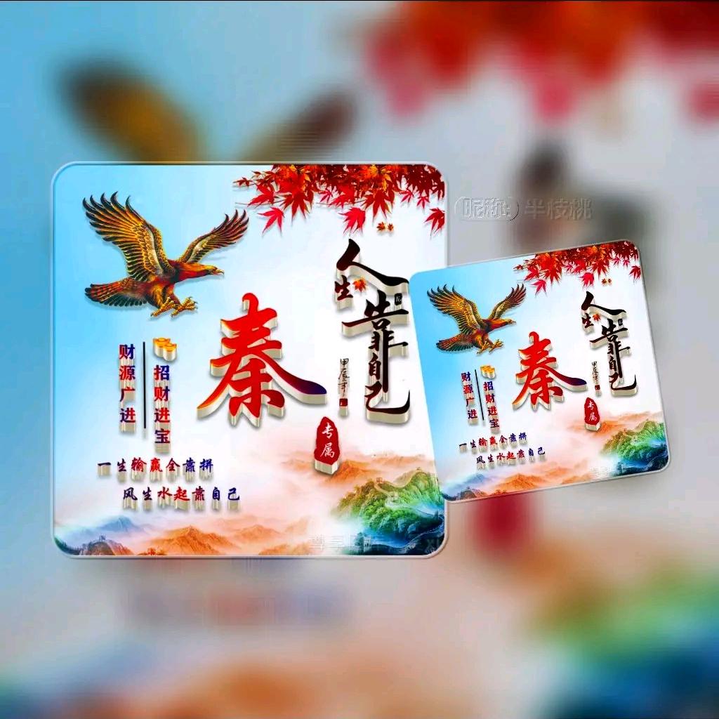 🈶秦任性