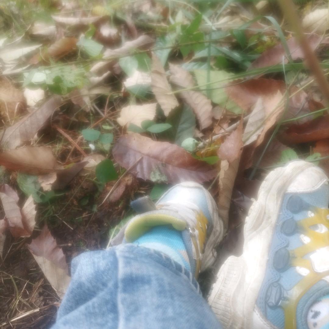 凡事只能靠自己。