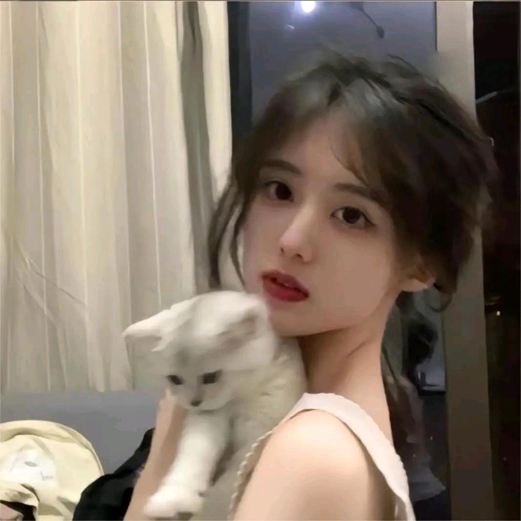 奔跑的CD
