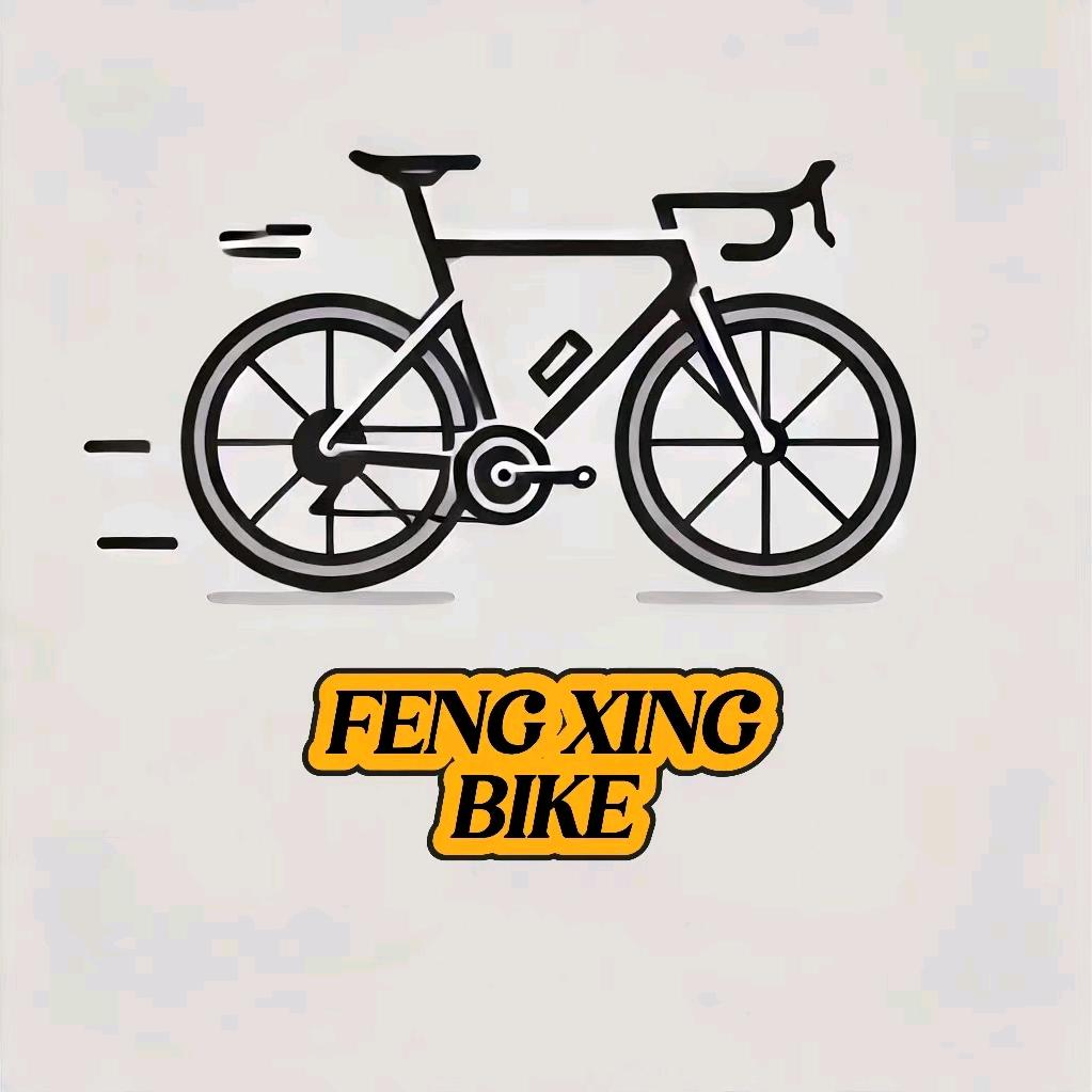 风行单车