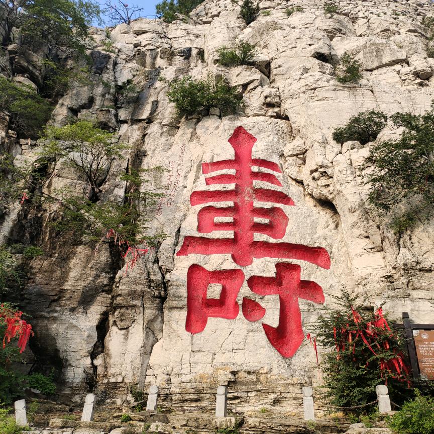 欣欣相印