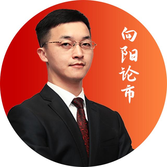 向阳论市