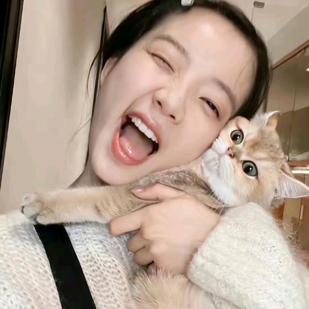 冰块🧊