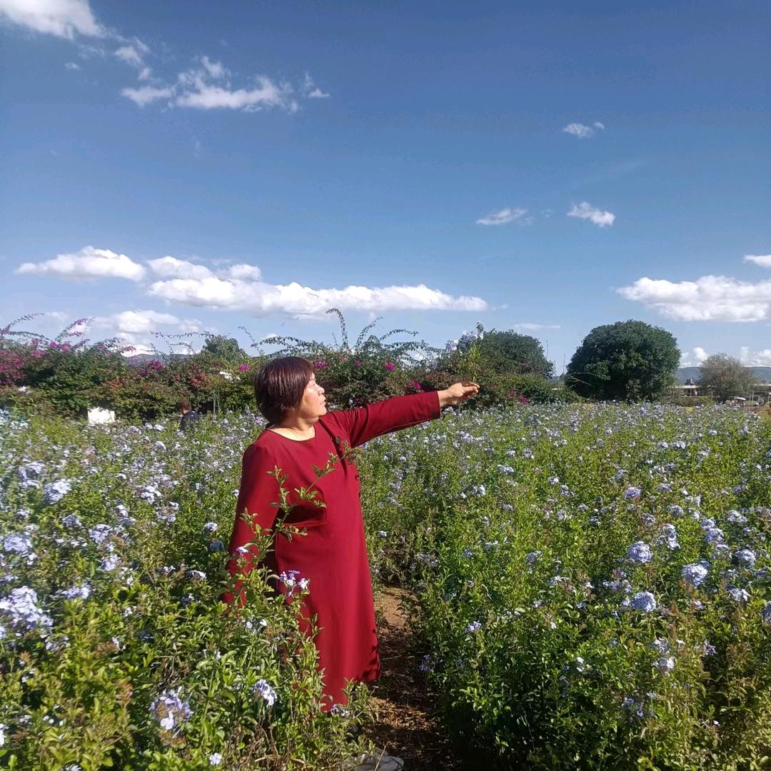 幸福美满