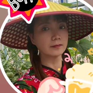 东北村姑