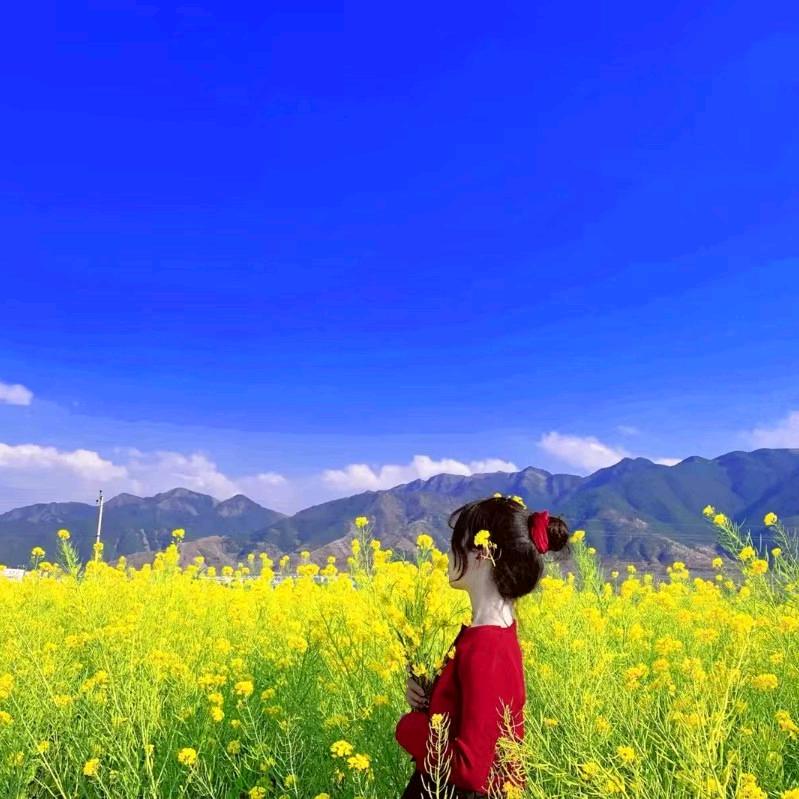 一束光🌈
