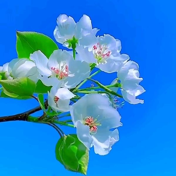 不解释