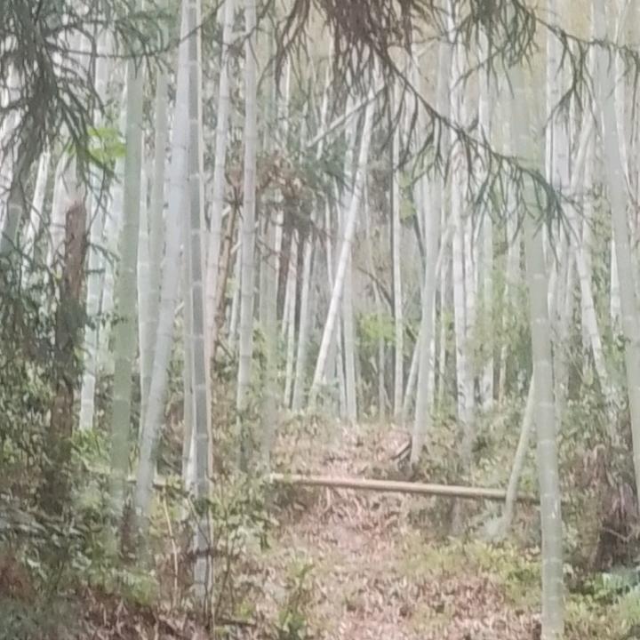 追梦