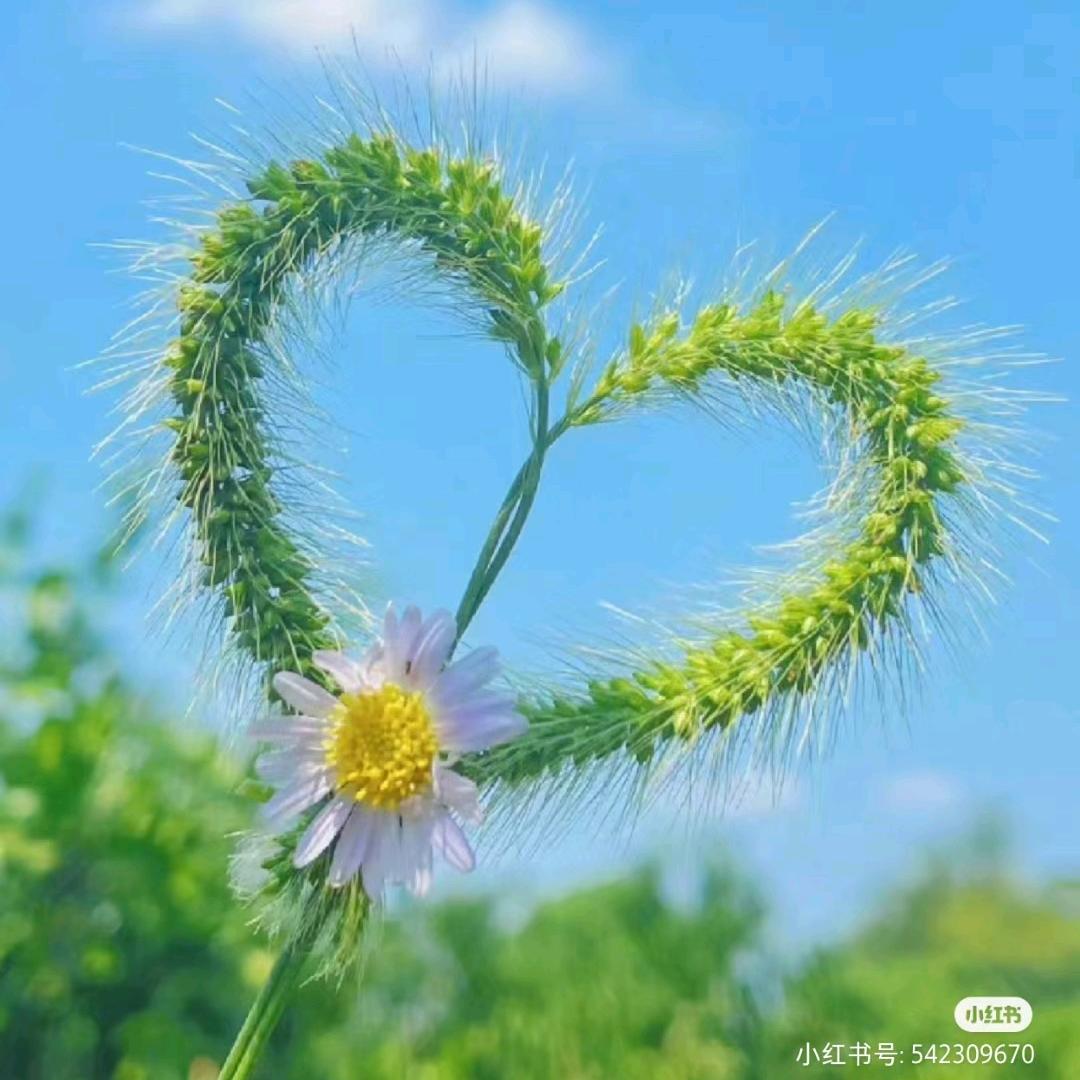 ❤晴