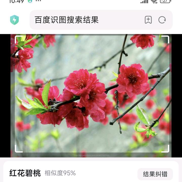 勿入红尘