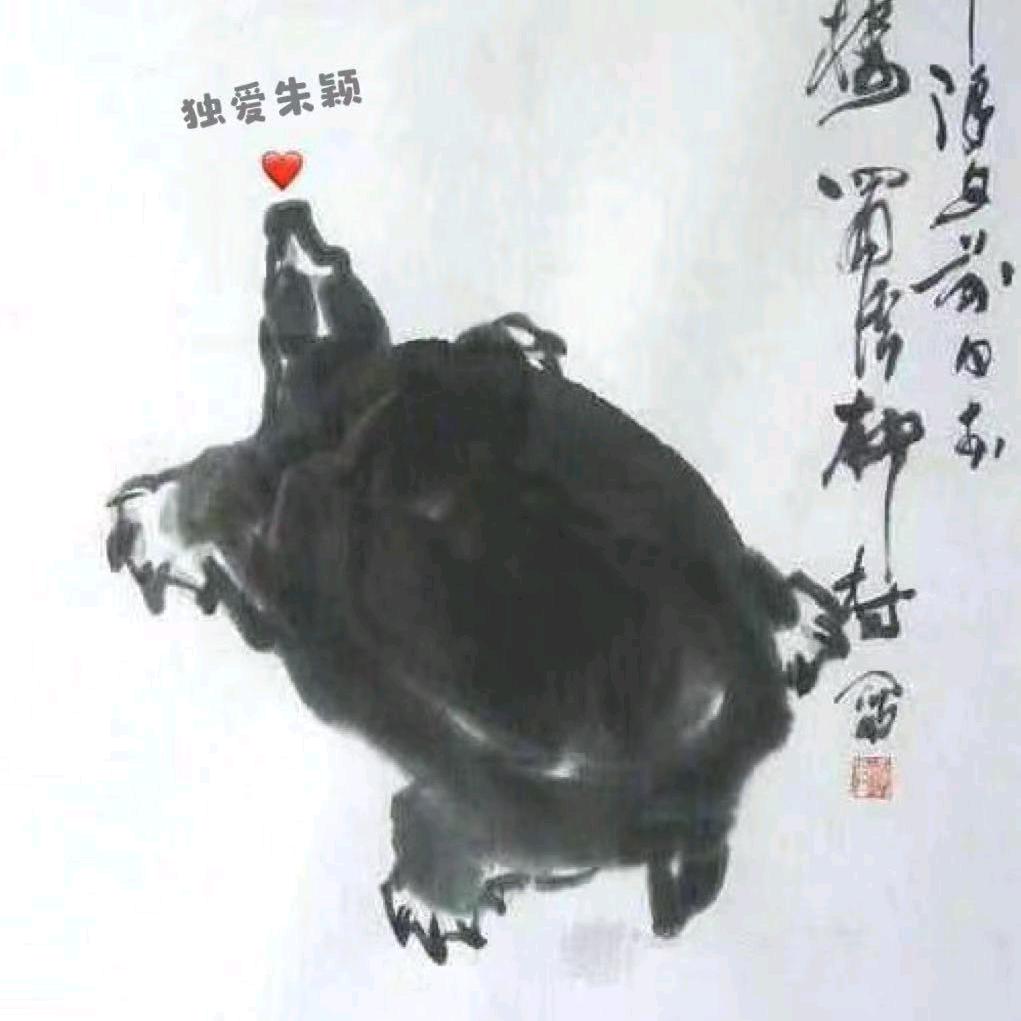春兰甲鱼养殖基地（峰达水产）