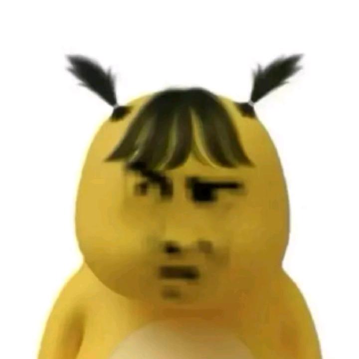 风与路人～