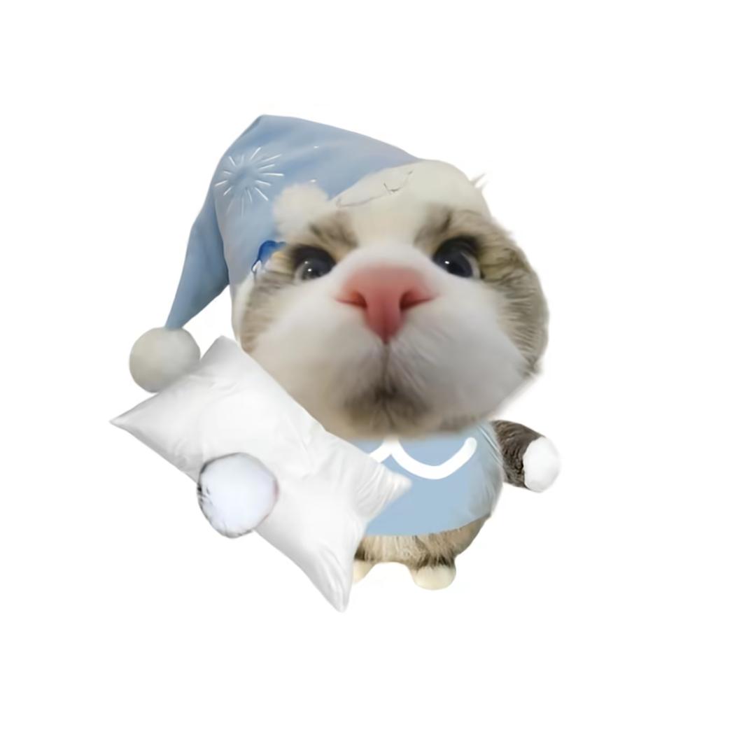 尽目