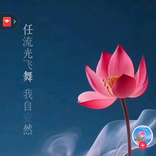 夏日静好