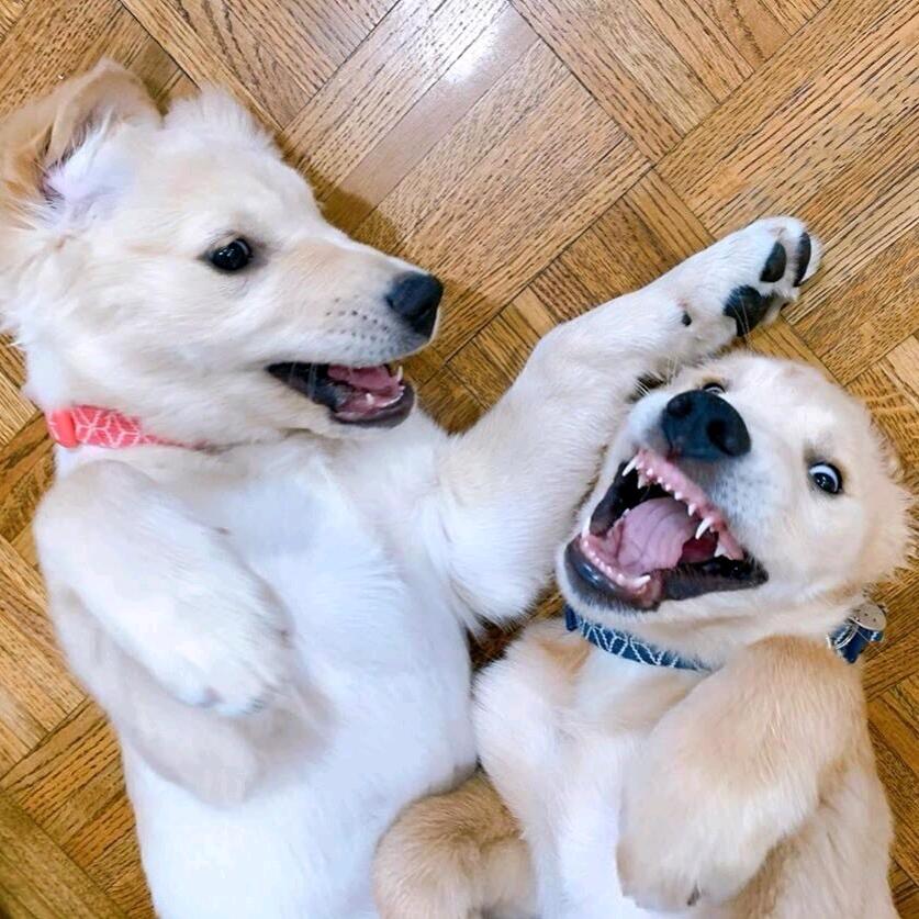 在吗