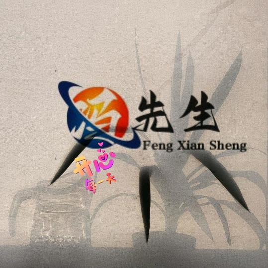 冯先生