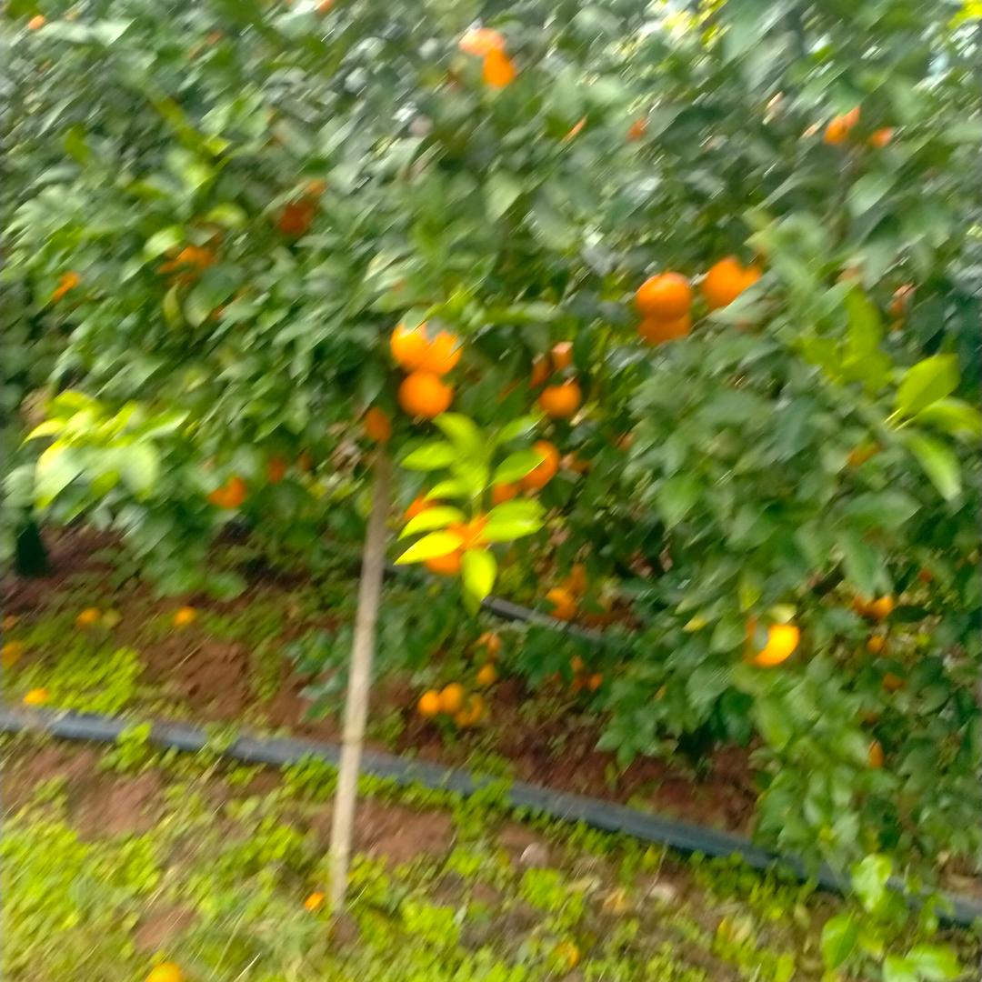 ′′