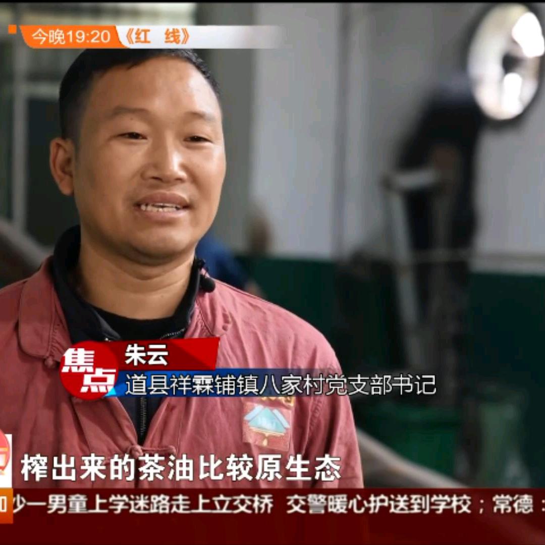 茶油达人