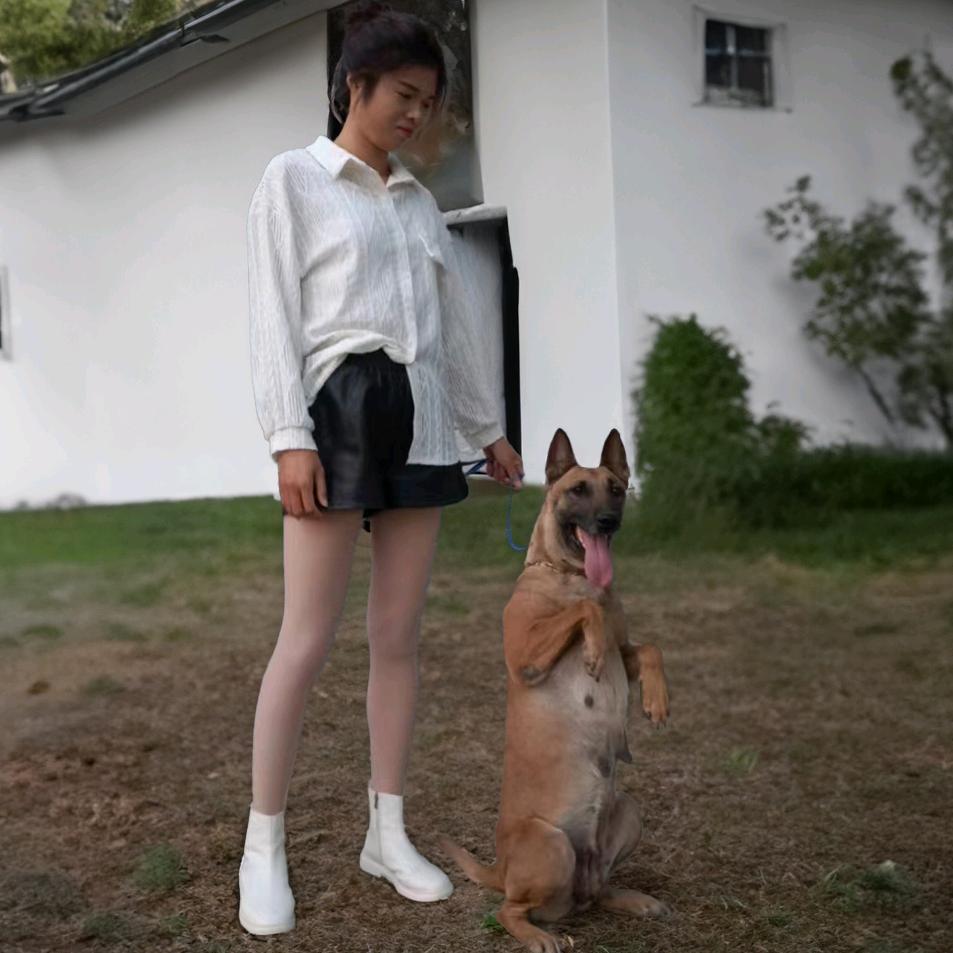神犬与亚飞夫妇