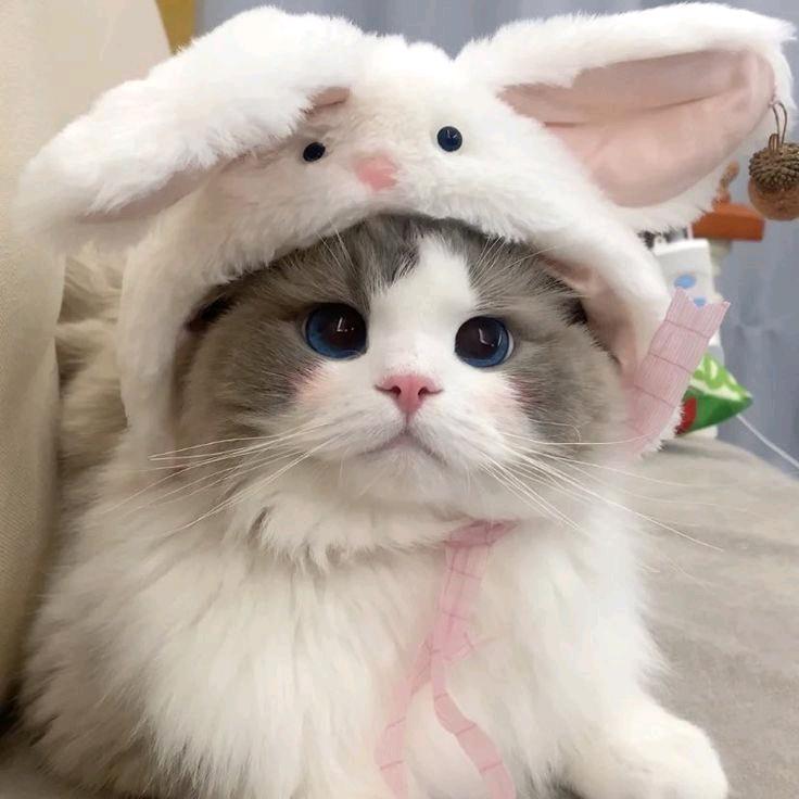 三水水水水