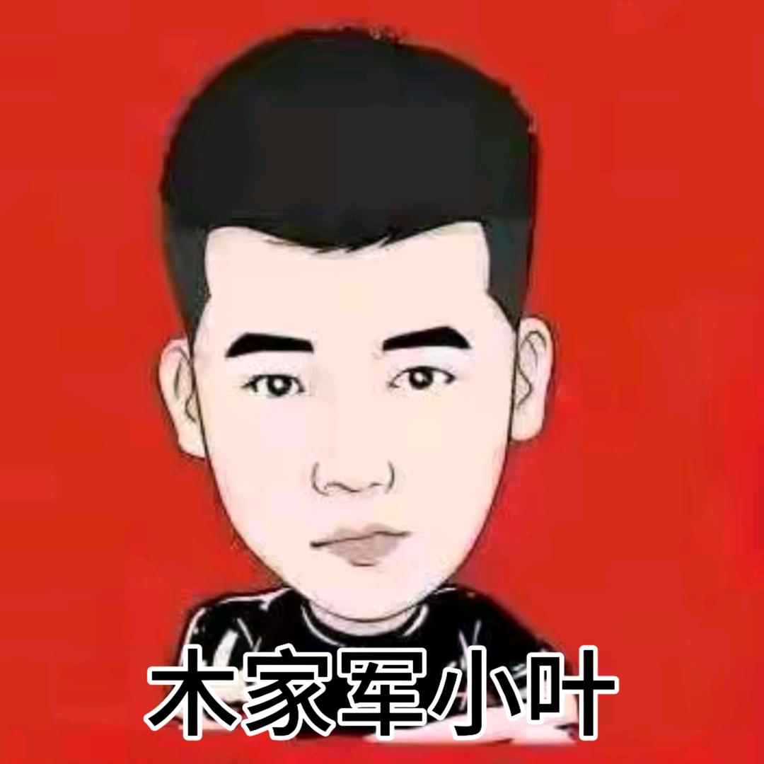 红豆木家军小叶