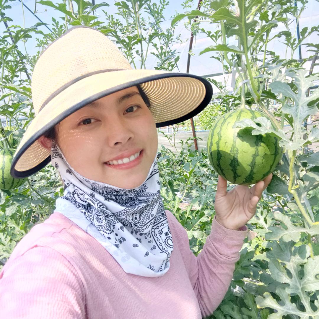 杨小珍（甜瓜）