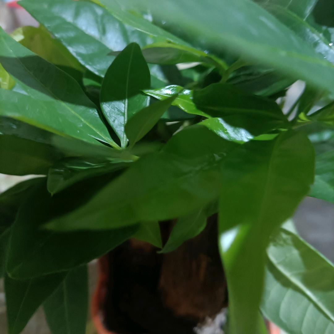 A我爱我家