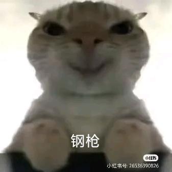 钢枪