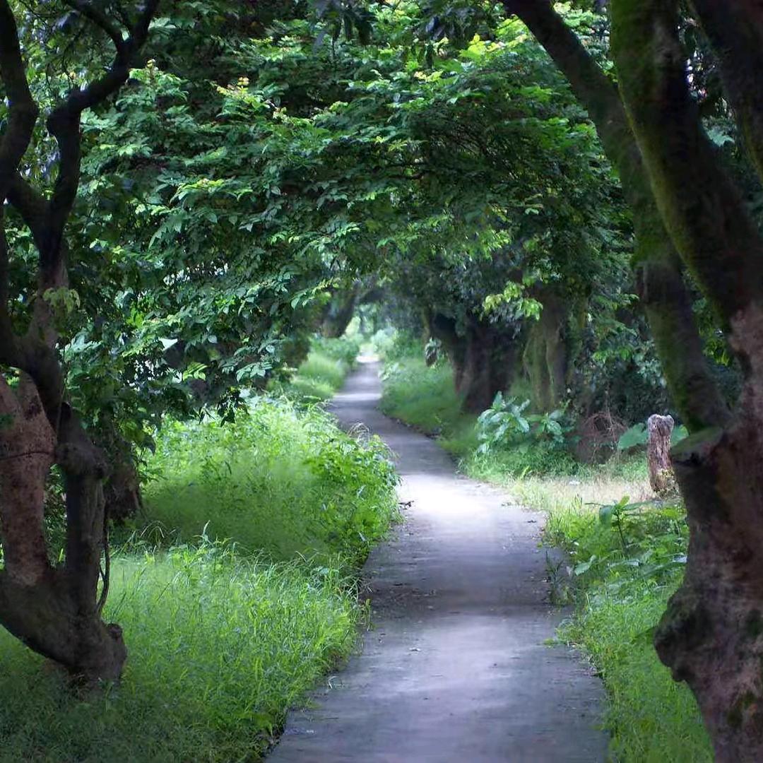 风雨同周