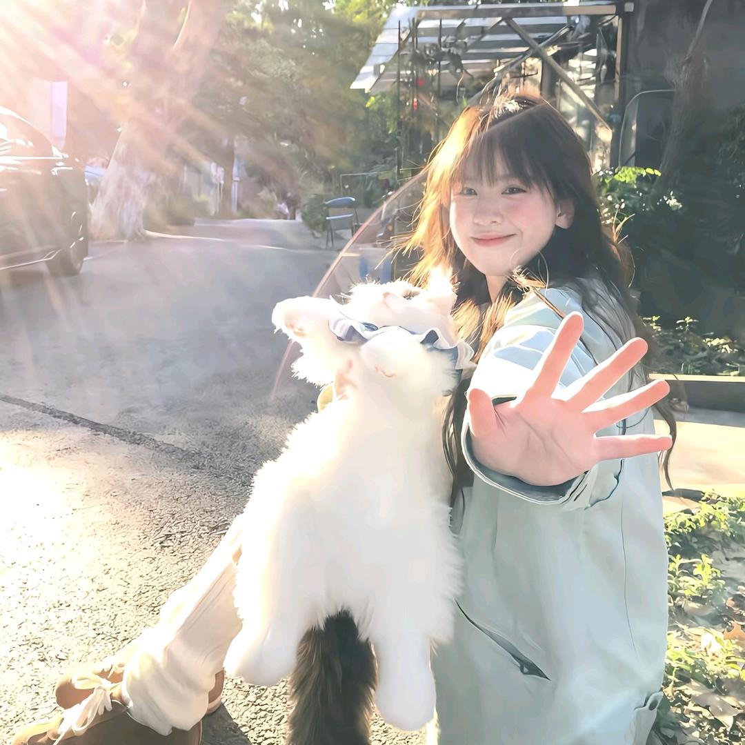 摆烂小𓆝