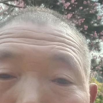老黄